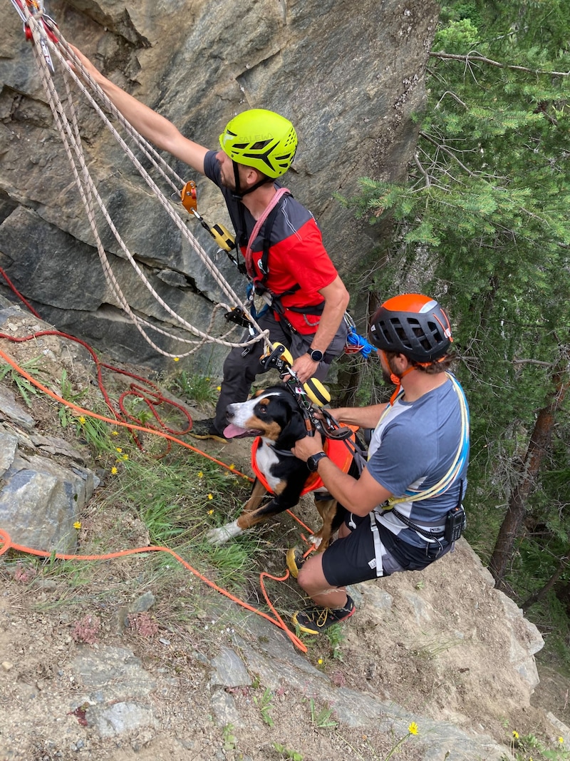 Without the help of the mountain rescuers, there would have been no way back for "Kosmo". (Bild: ZOOM Tirol)