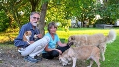 Wilhelm Schnebel und Renate Oberhumer nehmen nun mehrere Tiere privat bei sich auf. Drei großen Hunden droht aber die Einschläferung. (Bild: Dostal Harald)