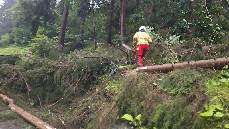 Windwurf in Hochfügen (Bild: FF Fügen)