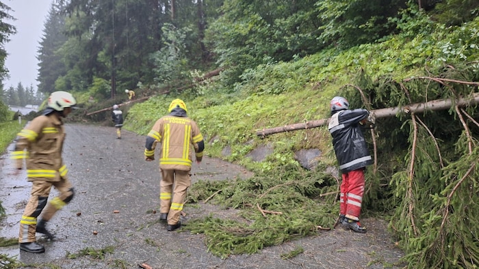 Die Straße war kurzzeitig gesperrt