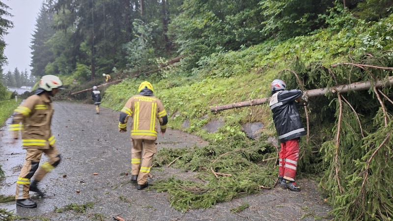 Die Straße war kurzzeitig gesperrt (Bild: FF Fügen)