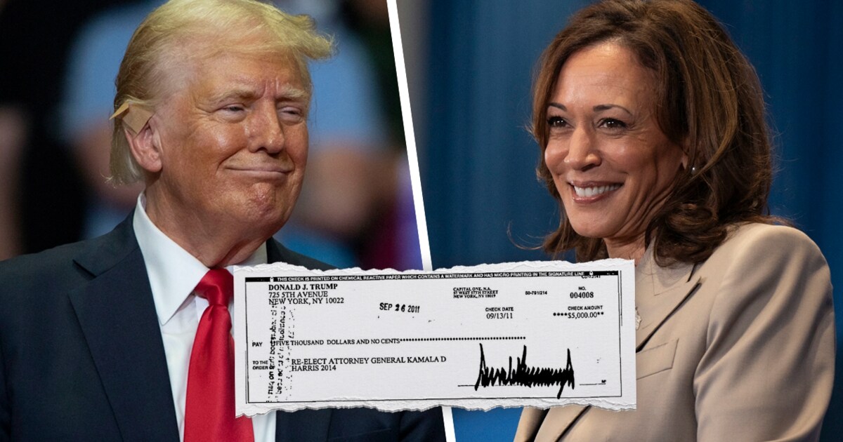 Scurrilous detail - Trump donated to Kamala Harris’ election campaign ...