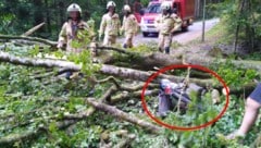 Ein Baum stürzte auf das fahrende Tandem. (Bild: ZOOM.TIROL, Krone KREATIV)