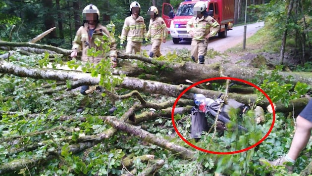 Ein Baum stürzte auf das fahrende Tandem. (Bild: ZOOM.TIROL, Krone KREATIV)