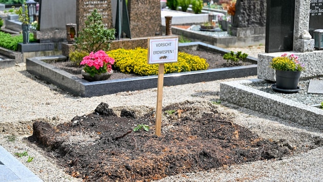 A sign at the cemetery warns of the earth wasps that are supposed to "move". (Bild: Dostal Harald)