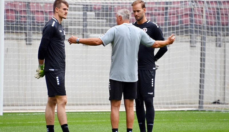 Spari (li.) hat im Kampf ums Leiberl die Nase vorne. (Bild: F. Pessentheiner)