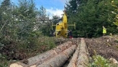 Heuer starben in Österreich bereits 38 Menschen bei Forstarbeiten. (Bild: Rotes Kreuz Mariazell/Werner F. Symbolbild)