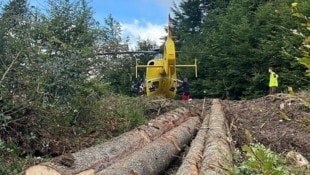 Heuer starben in Österreich bereits 38 Menschen bei Forstarbeiten. (Bild: Rotes Kreuz Mariazell/Werner F. Symbolbild)