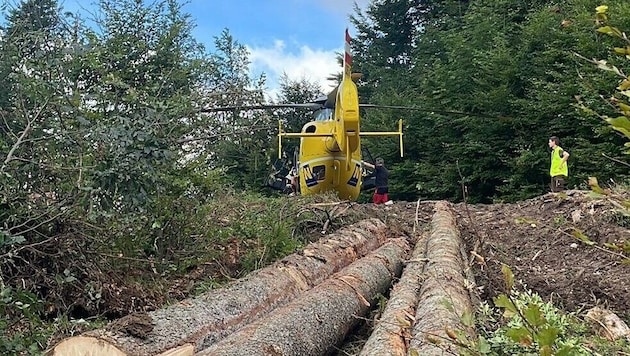 This year, 38 people have already died during forestry work in Austria. (Bild: Rotes Kreuz Mariazell/Werner F. Symbolbild)