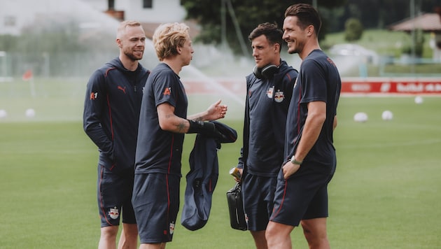 Alexander Schlager, Mads Bidstrup, Nicolas Capaldo und Janis Blaswich (v. li.). (Bild: FC Red Bull Salzburg/Heiko Mandl)