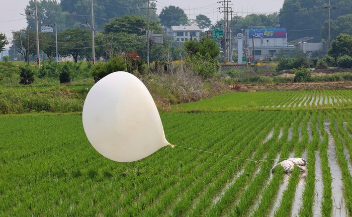 Immer wieder landen Müllballons in Südkorea.