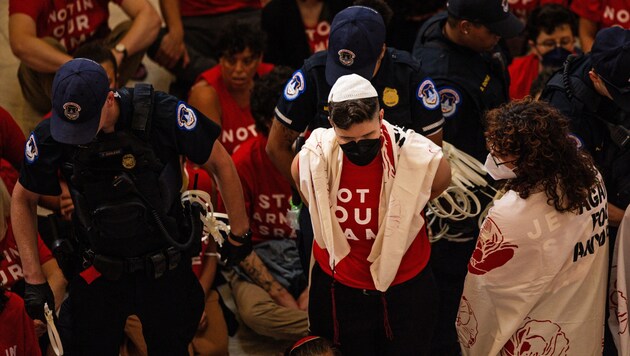 A protester is taken away by the police. (Bild: APA Pool/Tierney L. Cross)