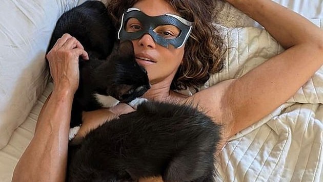 Halle Berry with her stray kittens ... (Bild: www.instagram.com/halleberry)