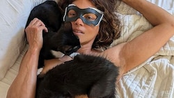 Halle Berry mit ihren zugelaufenen Kätzchen ... (Bild: www.instagram.com/halleberry)