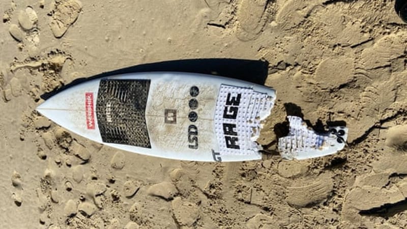 The shark had bitten a good chunk out of the surfboard. (Bild: NSW Polizei)