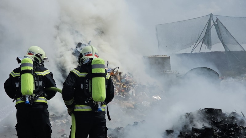 Around 70 firefighters were involved in the major fire in Wiener Neustadt (Bild: Presseteam ffwrn.at)