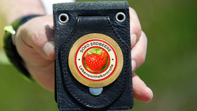 Focus campaign by food inspectors at the height of the strawberry season. (Bild: Krone KREATIV/Markus Tschepp)