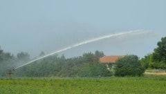 Zum Besprengen der Felder wird Grundwasser genutzt (Bild: Huber Patrick)