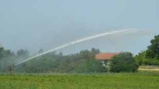 Zum Besprengen der Felder wird Grundwasser genutzt