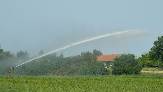 Zum Besprengen der Felder wird Grundwasser genutzt (Bild: Huber Patrick)