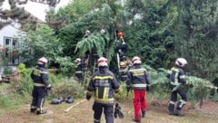 Die Feuerwehr musste den Verletzten mit der Kettensäge freischneiden. (Bild: FF Perchtoldsdorf)