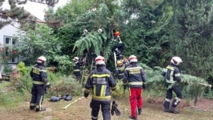 Die Feuerwehr musste den Verletzten mit der Kettensäge freischneiden.