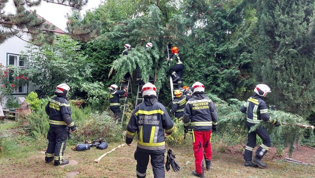 The fire department had to cut the injured man free with a chainsaw. (Bild: FF Perchtoldsdorf)