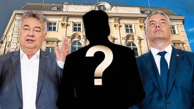 Who will advise the government in the event of a crisis in future? (Bild: Krone KREATIV/Kogler: SEPA.Media / Michael Indra Nehammer (nach oben schauend): APA/ EVA MANHART Bundeskanzleramt: EXPA Picture/Micheal Gruber)