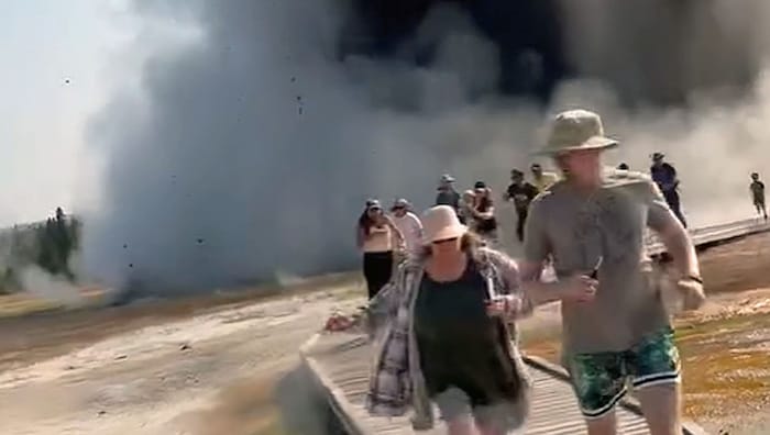Die Touristen rannten um ihr Leben.