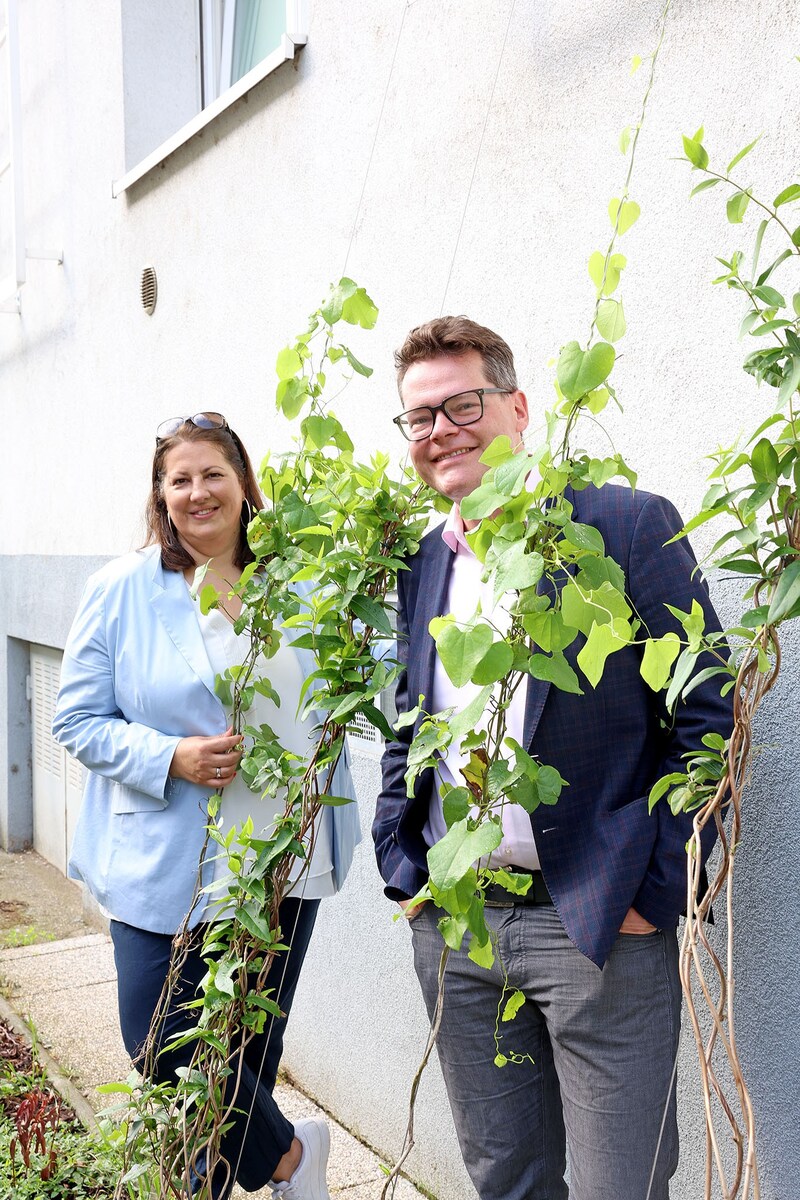 Wohnbaustadträtin Kathrin Gaál und Klimastadtrat Jürgen Czernohorszky stellten die neuen Fassadenbergünungen in Simmering vor. (Bild: Stadt Wien/Martin VOTAVA)