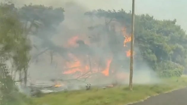 Large forest fire in the bay of San Felice near the Apulian coastal town of Vieste (Bild: Vigili del Fuoco)