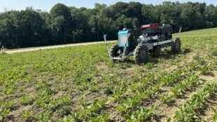 Ein autonomer deutscher Hackroboter beim „Feldversuch“.