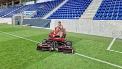 Greenkeeper Wayne Beasley in seinem Element. Rasenpflege ist seine Passion. (Bild: Cerny)