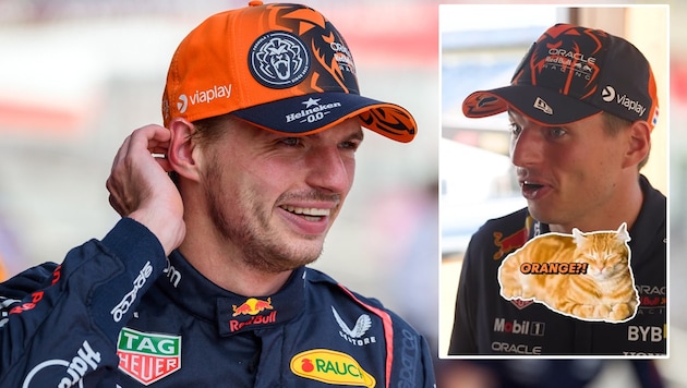 Apparently, you can't fool Max Verstappen when it comes to cats. (Bild: APA/AFP/Jure Makovec, instagram.com/redbullracing)