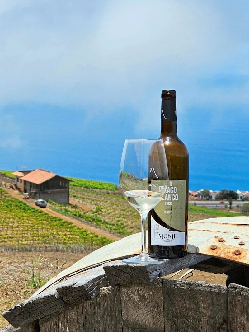 Ein Besuch im schönen Bodegas Monje (Bodega ist Spanisch für Weingut) zahlt sich aus. (Bild: Ed Ricker)