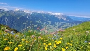 Ein wunderschöner Ausblick ins Montafon (Bild: Bergauer Rubina)