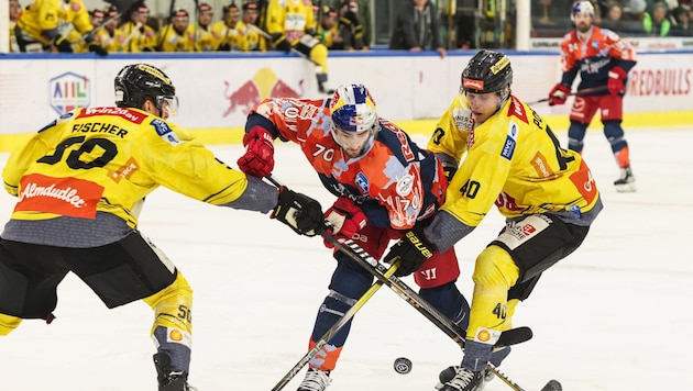 Puls24 und ORF Sport+ teilen sich 2024/25 die TV-Rechte an der ICE Hockey League. (Bild: GEPA/GEPA pictures)