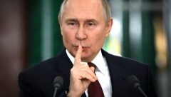 Wladimir Putin räumte eine Kartoffelknappheit ein.