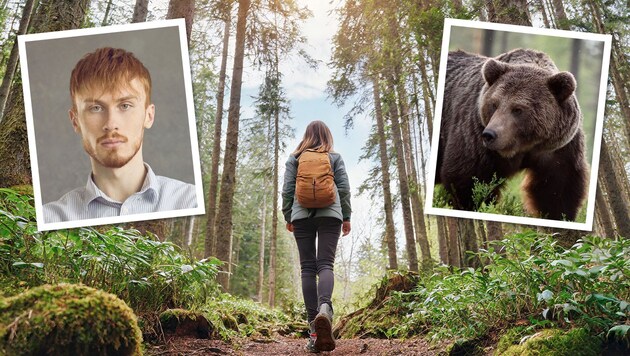 Many women would rather meet a bear in the forest than a strange man. (Bild: Krone KREATIV/stock.adobe.com)