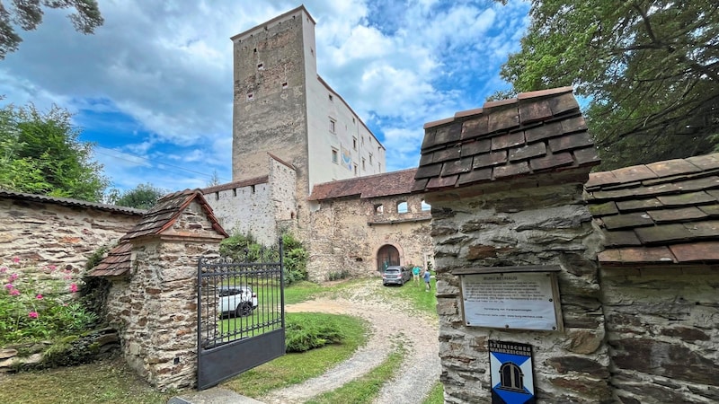 Die Burg Neuhaus (Bild: Jauschowetz Christian)