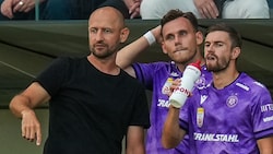 Austria-Trainer Stephan Helm (Bild: GEPA pictures)