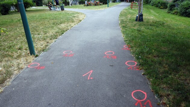 The Anton-Kummerer-Park crime scene after the shooting at the beginning of July. (Bild: klemens groh)