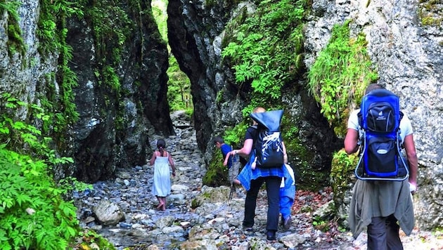 Die Roßlochklamm war gerade bei Familien sehr beliebt (Bild: Naturpark Mürzer Oberland)