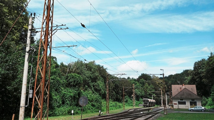 The Gleichenbergerbahn line is currently mostly deserted - trains only run here at weekends.