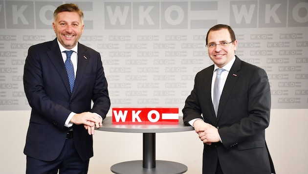 Wirtschaftskammerdirektor Harald Schermann und Wirtschaftskammerpräsident Andreas Wirth. (Bild: WKB)