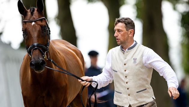 Harald Ambros (Bild: GEPA pictures)