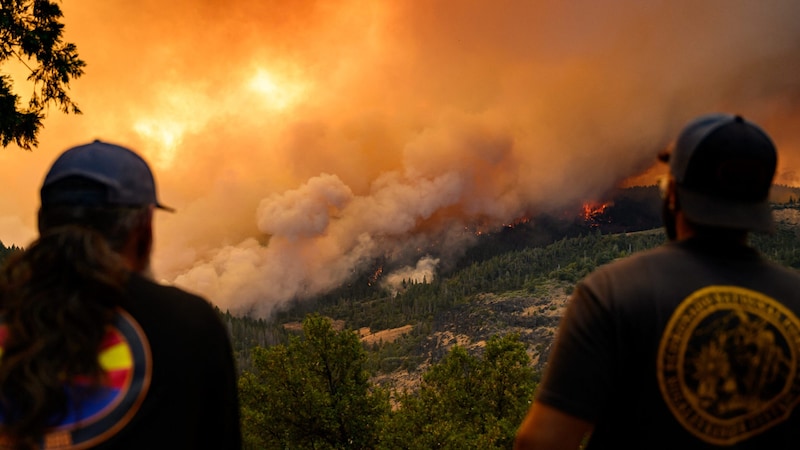 Insgesamt waren bereits 3700 Feuerwehrleute im Einsatz. (Bild: AFP/Josh Edelson)