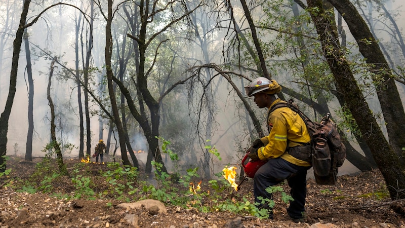 Ein Feuerwehrmann beim Löschen (Bild: AP/Nic Coury)