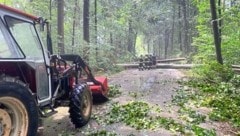 In Kaindorf bei Hartberg verlegten mehrere umgestürzte Bäume Wege und Straßen (Bild: FF Kaindorf)