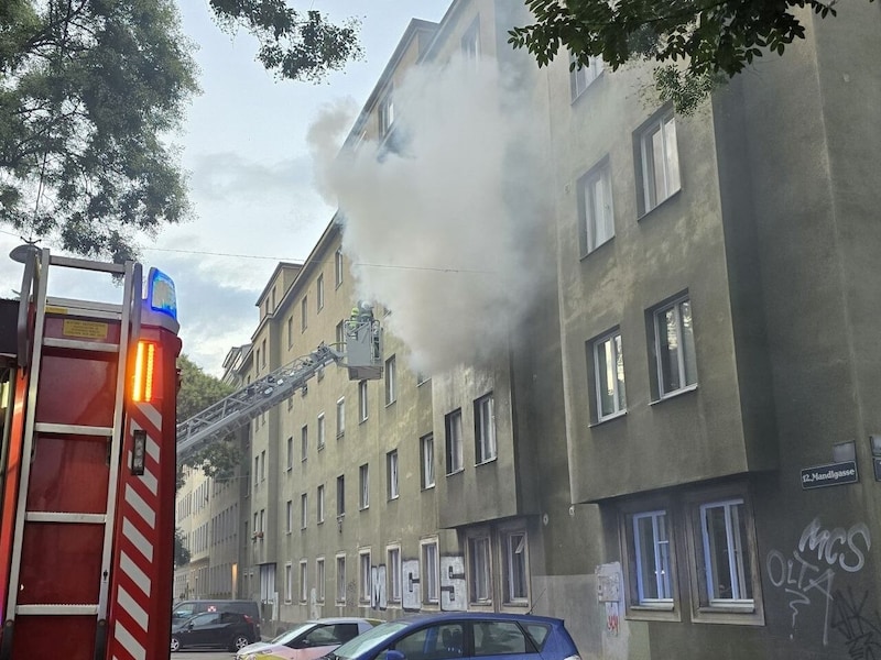 The occupant of the affected apartment was able to escape to safety. (Bild: Stadt Wien | Feuerwehr)